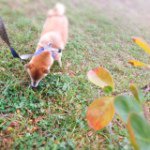 914757_765350976835116_1991071326_a