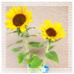 11098694_1551205628466546_1475037104_a