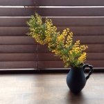 10362272_398771780263727_23904927_a