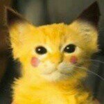 10601944_384461641705087_1690436254_a