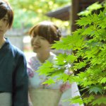 11377401_1617134155219626_227823874_a