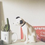 11422005_463837647112460_1552348965_a