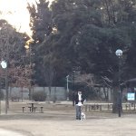 11313282_428626047317907_1991883601_a