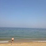 924105_894525420581264_544271529_a