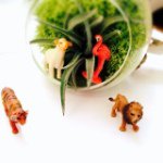 11419128_395765353957698_221092352_a