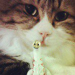 11273108_1396381307357146_1198943240_a