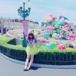 11351757_446479325513060_2051408014_a