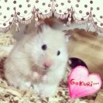 10369393_237670123095669_101539039_a