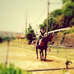 11380950_913284075397760_1289089178_a