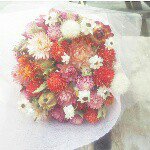 11245002_954403777943926_5066014_a