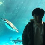 11024093_449100928578538_1122580740_a