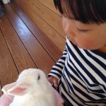 11007790_1622154588006804_932376996_a