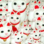 11376350_123515801314468_1447681751_a