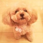 10401581_798953683462230_383851124_a