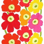 11376616_1619972574884372_795892014_a