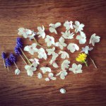 11379755_780919322052357_743285376_a