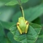 Profile_286707463_75sq_1366528317