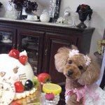 Profile_52895920_75sq_1365600163