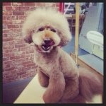 Profile_656407335_75sq_1390393018