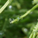 11232561_926839307367053_1828485465_a