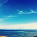 927959_1481854498698988_697521982_a