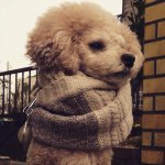 10898995_1422565644701683_1637943774_a