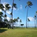 10809696_803994716342182_1092505555_a