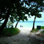 11247675_445115662333210_246184809_a