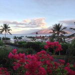 10593330_1566526010253416_760085881_a