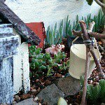 11358952_883789761679586_2048157577_a