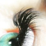 11327839_994662067234928_573615954_a