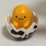 11378417_393232884215885_1142738853_a