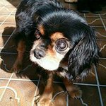 10601943_1449486185334541_1681526773_a