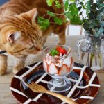 11049340_1571347909789050_963630910_a