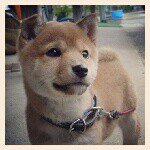 Profile_629836227_75sq_1382753197