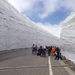 11282078_1450747471906762_1024639798_a