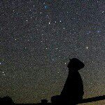 10731899_1484457895167814_641144962_a