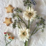 11226696_1503503396571649_1594162015_a