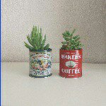 10919741_1642127012673070_1712282933_a