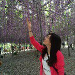 11226764_959490180739350_775516155_a