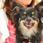 10362327_1386108121633956_1007475730_a