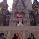 925322_1451052418496869_1483661610_a