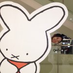 11195726_382277361981191_8429705_a