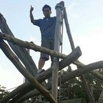 11022979_357347171126082_143361281_a