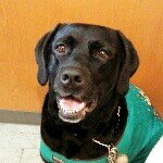 10508011_322123364610475_313526094_a