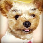 Profile_20651563_75sq_1367259368