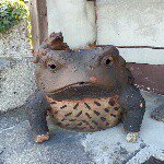 11055833_584060528402210_274807059_a