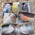 Profile_1309166797_75sq_1399257198