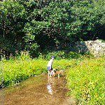 10853117_640409022730492_66176683_a