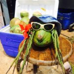 10946611_918268978207376_1993626406_a